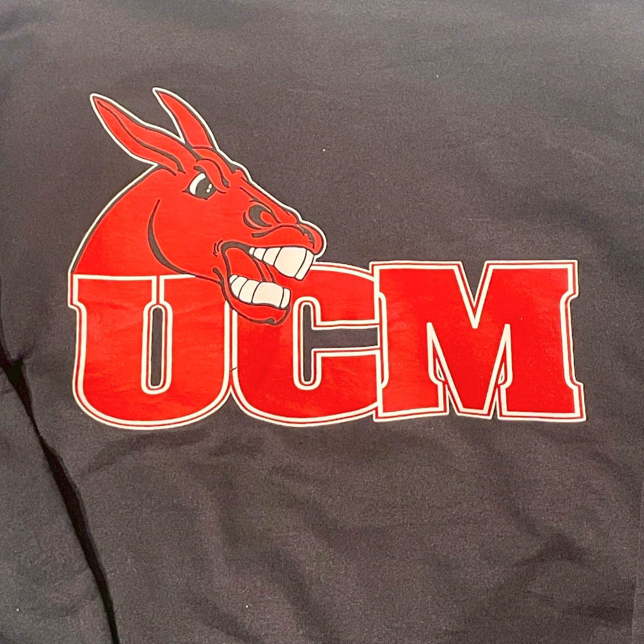 No.9  【90s Champion × UCM Mules】MADE IN MEXICO クルーネックスウェット [ブラック]