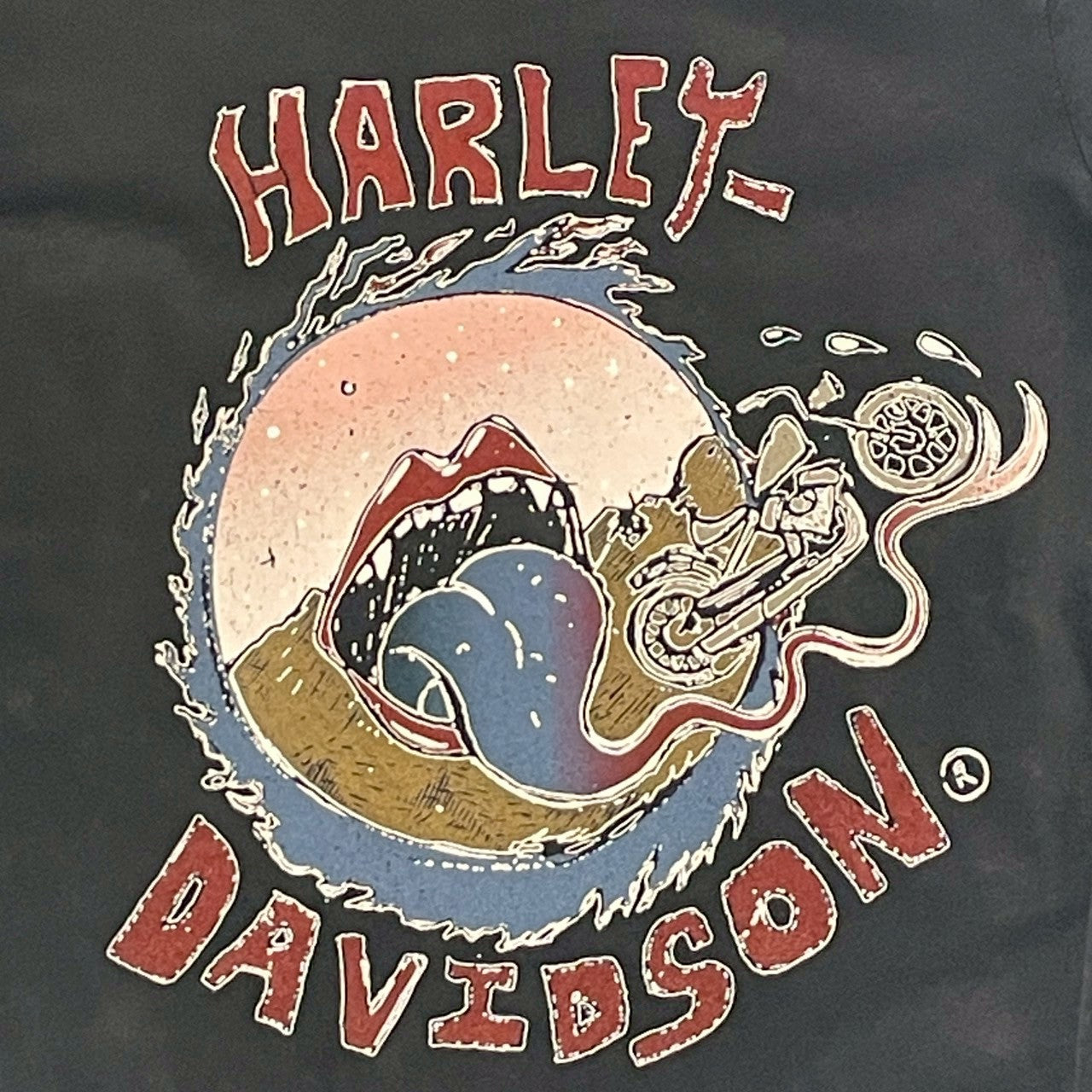 No.29 【Harley-Davidson】シャーク＆ライダー ロングスリーブTシャツ [フェードブラック]